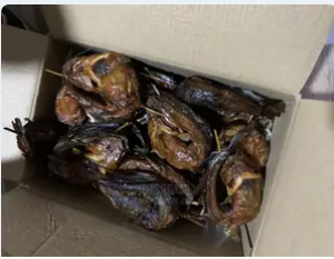 buy smoked catfish, smoked catfish for sale, catfish in Ghana, catfish for sale