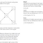 how to produce your own fish feed, how to produce catfish feed, formula to calculate the proportions of ingredients for fish feed production