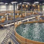 Sustainable Farming Practices